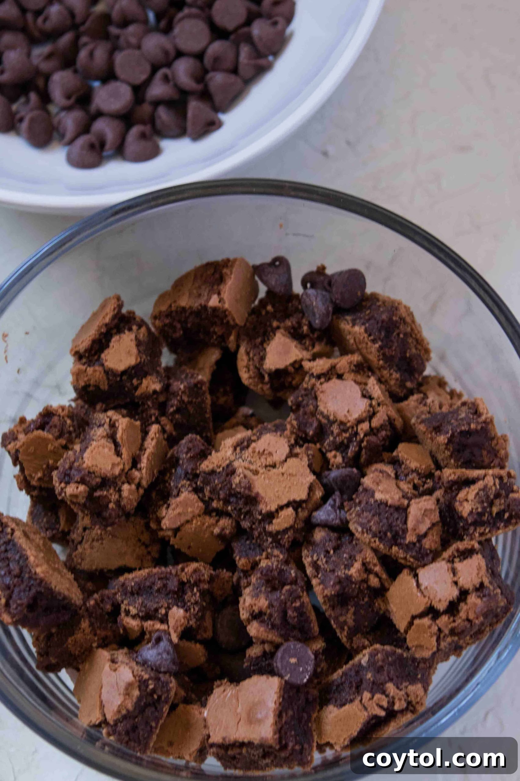 Assorted ingredients laid out for homemade chocolate ice cream preparation