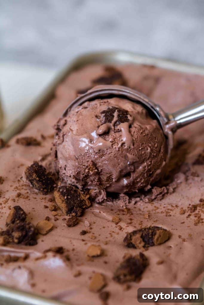 Close-up of no-churn brownies ice cream with a spoon