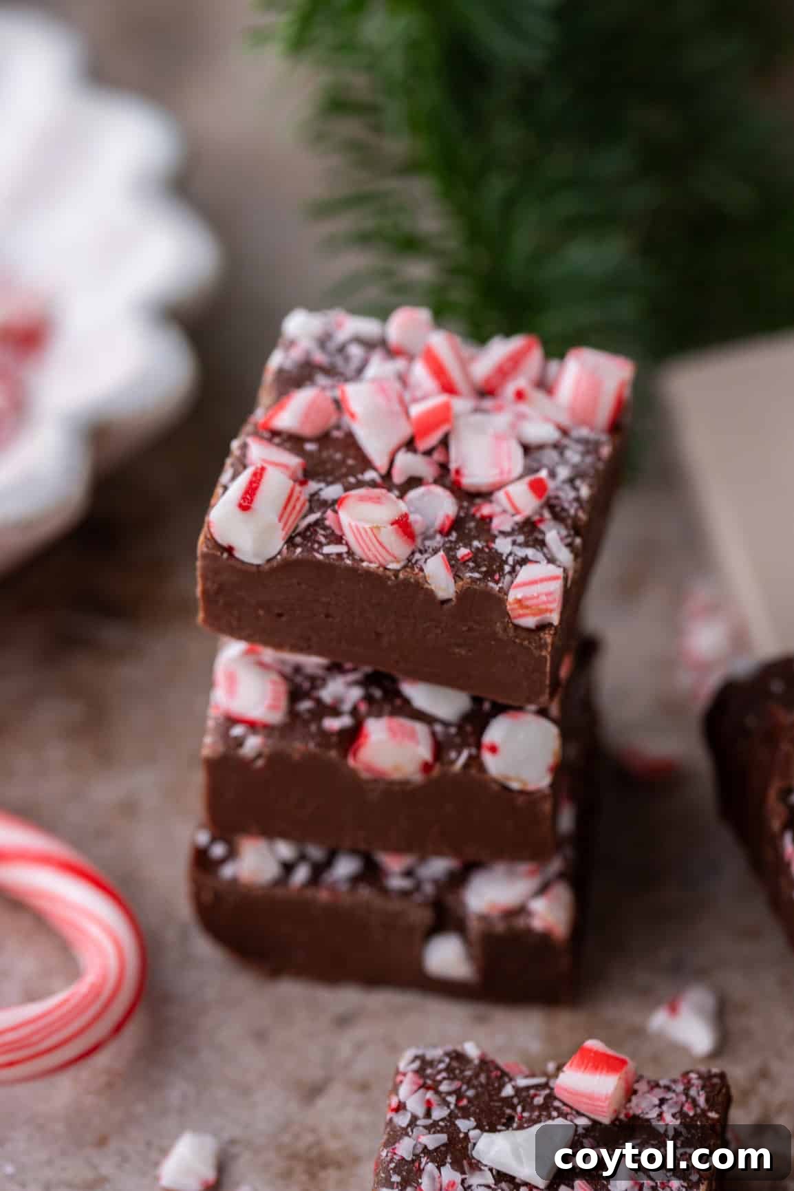 Peppermint fudge Recipe