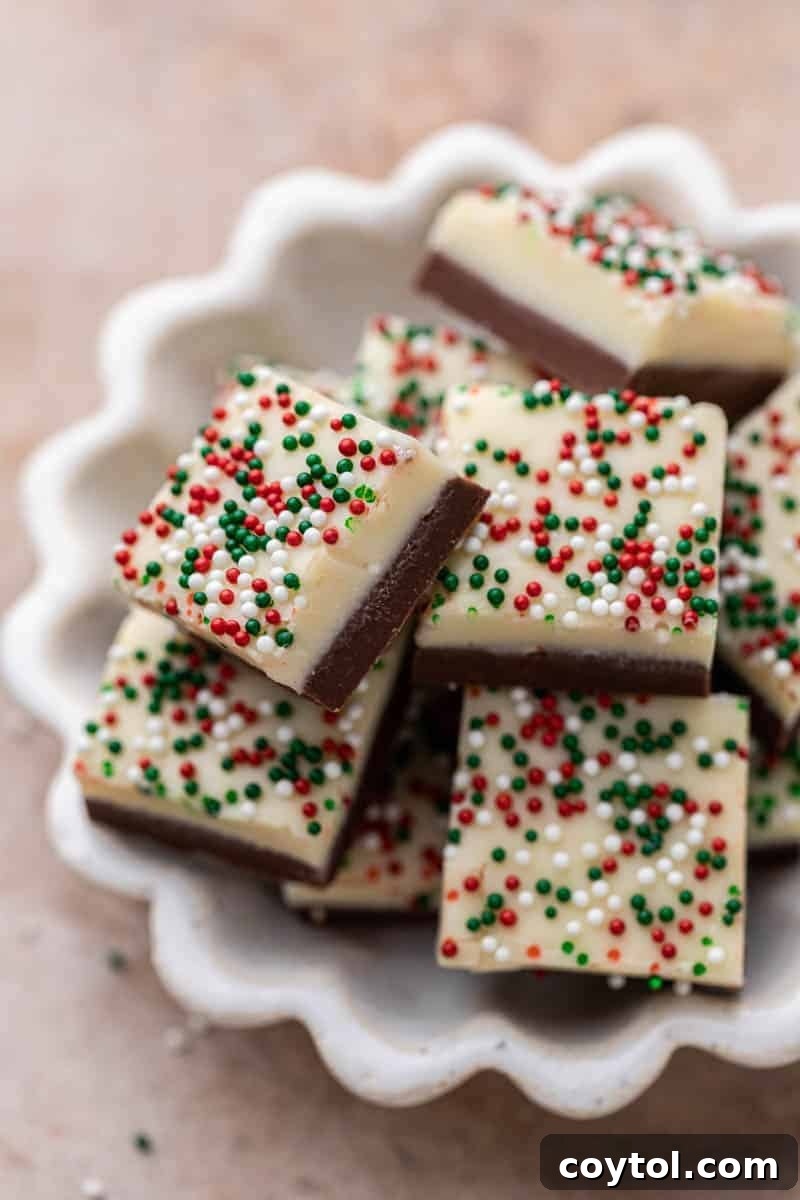 Close up of Christmas fudge squares