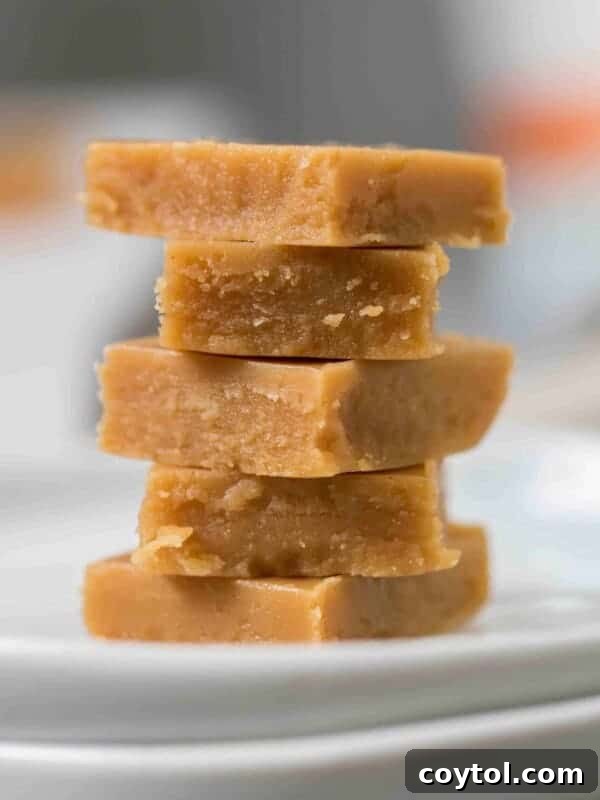 Small batch keto peanut butter fudge squares
