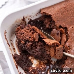 Ina Garten’s brownie pudding with a chewy top and fudgy, spoonable center