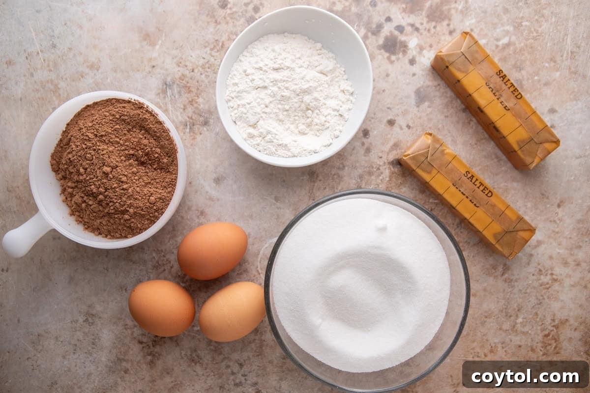 Ingredients for Ina Garten's brownie pudding laid out, including fresh eggs, cocoa powder, granulated sugar, all-purpose flour, butter, and vanilla extract.