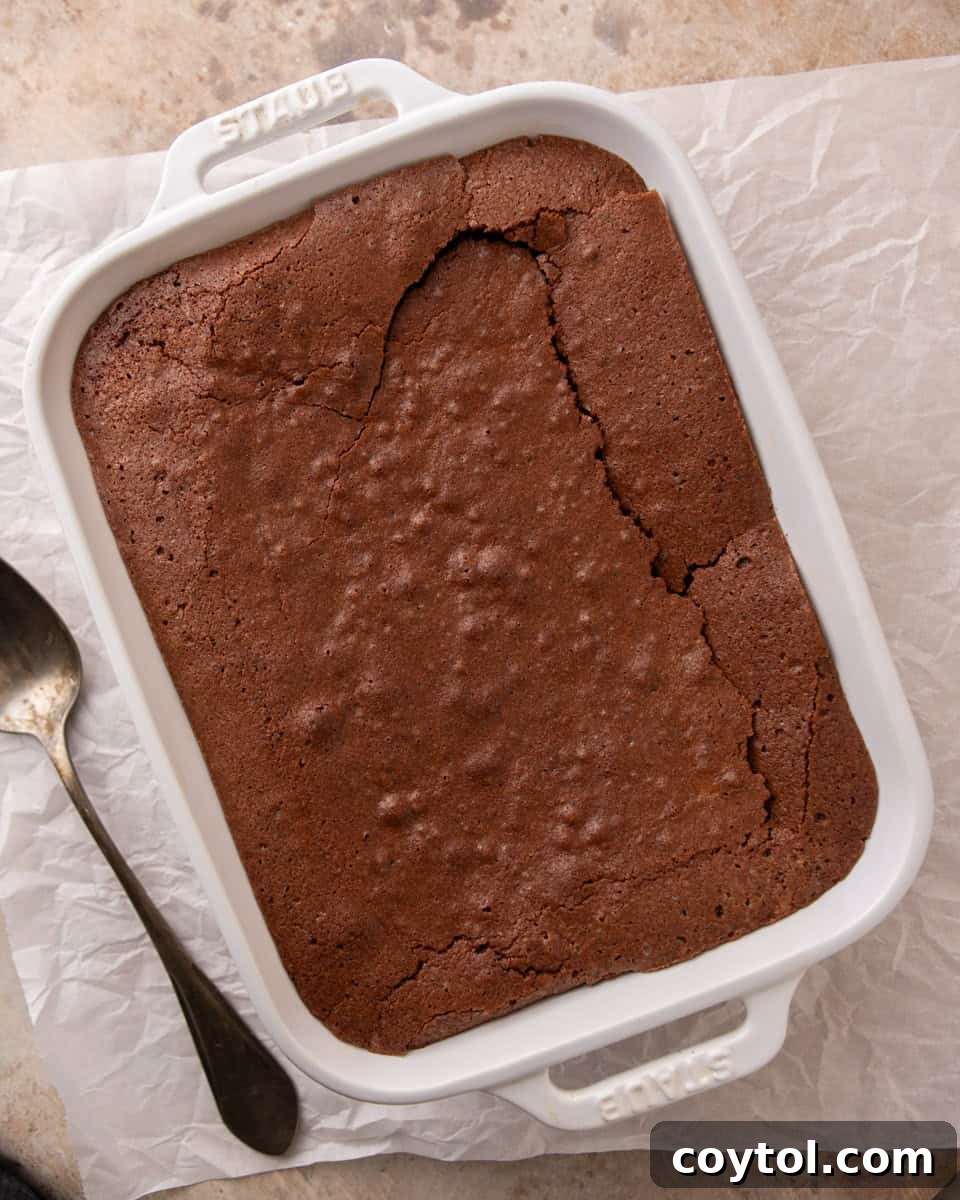 Freshly baked brownie pudding with a beautifully set, crackly top and a subtly soft, jiggly center.