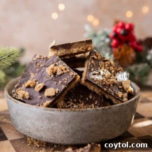 Bowl of graham cracker Christmas crack with chocolate and toffee layers