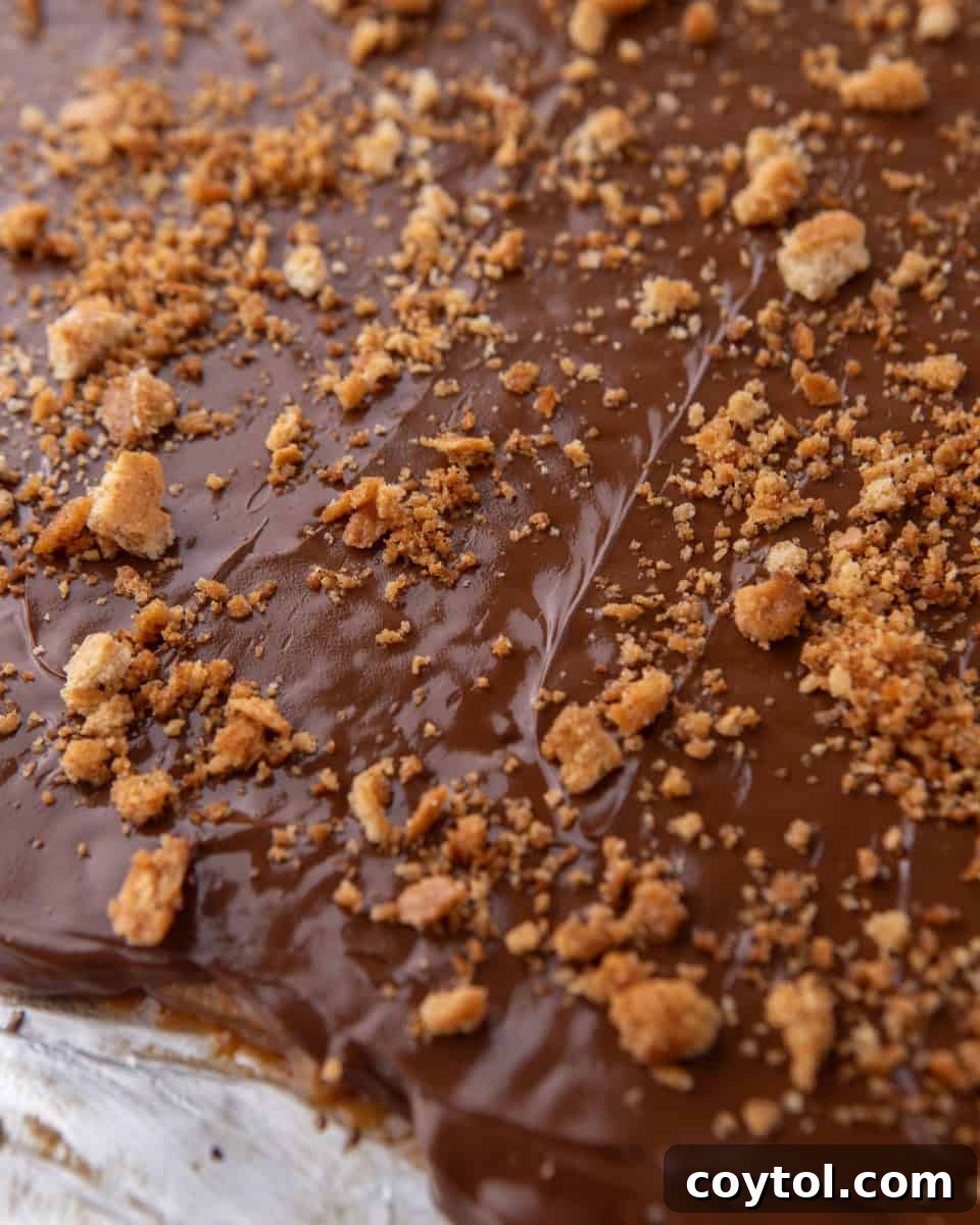 Melted chocolate spread over graham cracker toffee