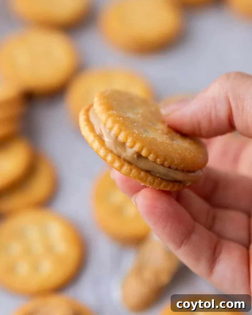 Easy No-Bake Ritz Peanut Butter Chocolate Sandwiches 5 Ritz peanut butter cookie sandwiches before dipping in chocolate