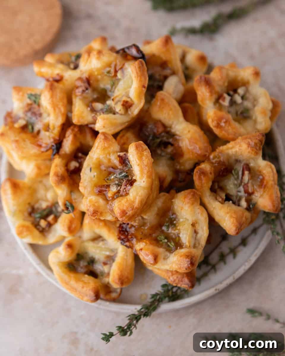 Sweet and Savory Brie Fig Pastry Bites 2 Golden brown brie and fig jam puff pastry cups, fresh out of the oven, topped with toasted pecans and ready to serve as an elegant appetizer.
