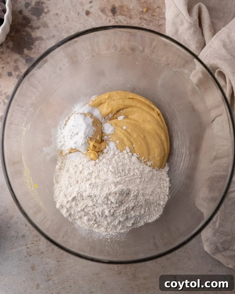 Dry ingredients folded into cream cheese chocolate chip cookie dough