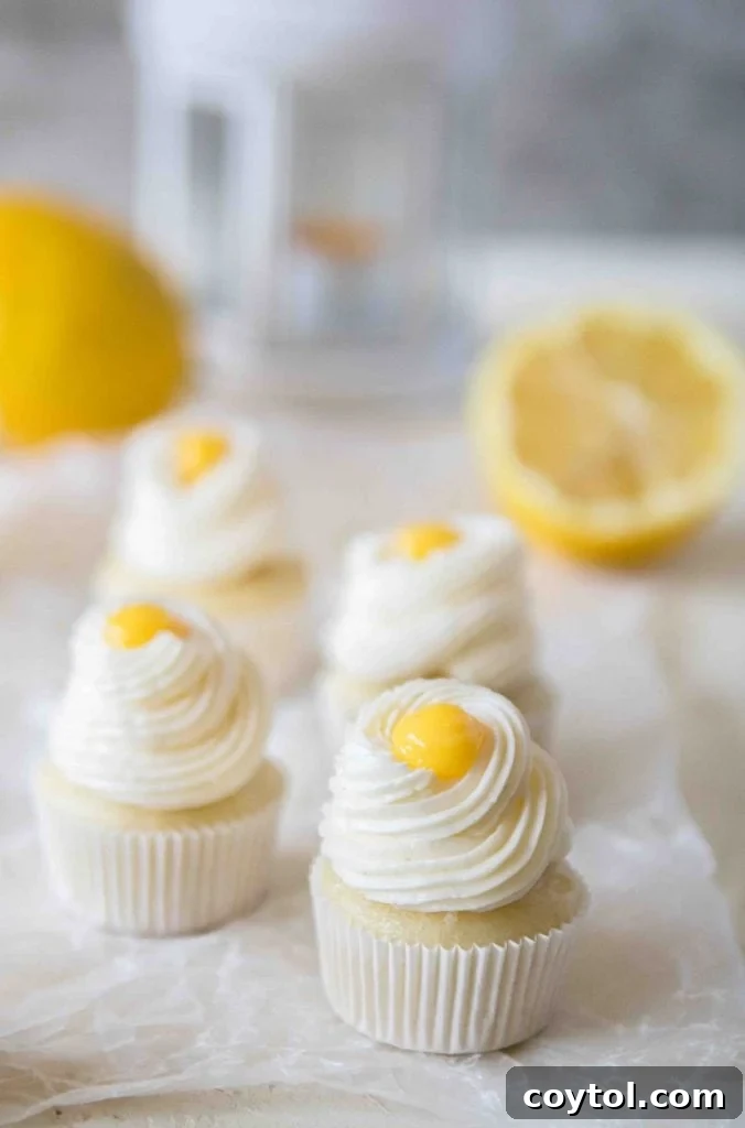 Delightful mini lemon cupcakes topped with lemon curd and Italian buttercream