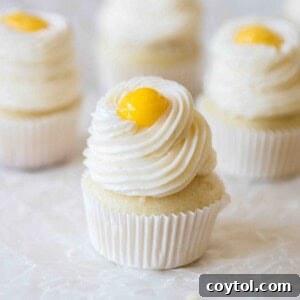 Perfect mini lemon cupcakes