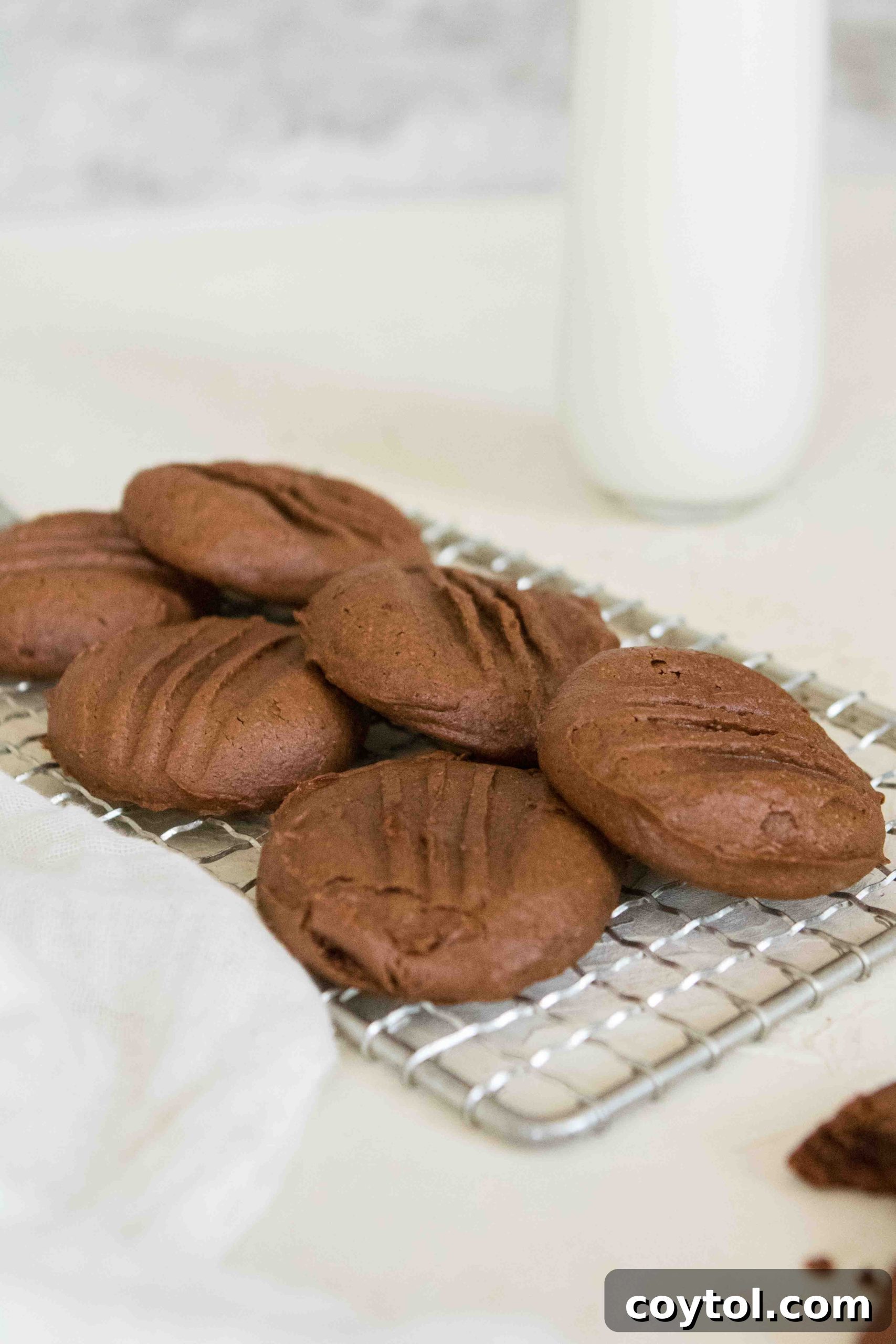 The healthier 3 ingredient cookie recipe ever! Delicious and easy to make.