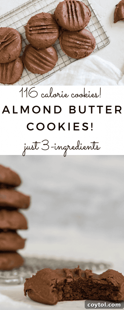 Healthy 3-ingredient almond butter cookies for a balanced lifestyle.