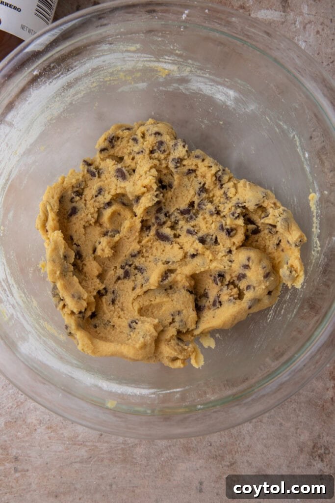 Chocolate chip cookie dough mixed and ready to stuff with Nutella
