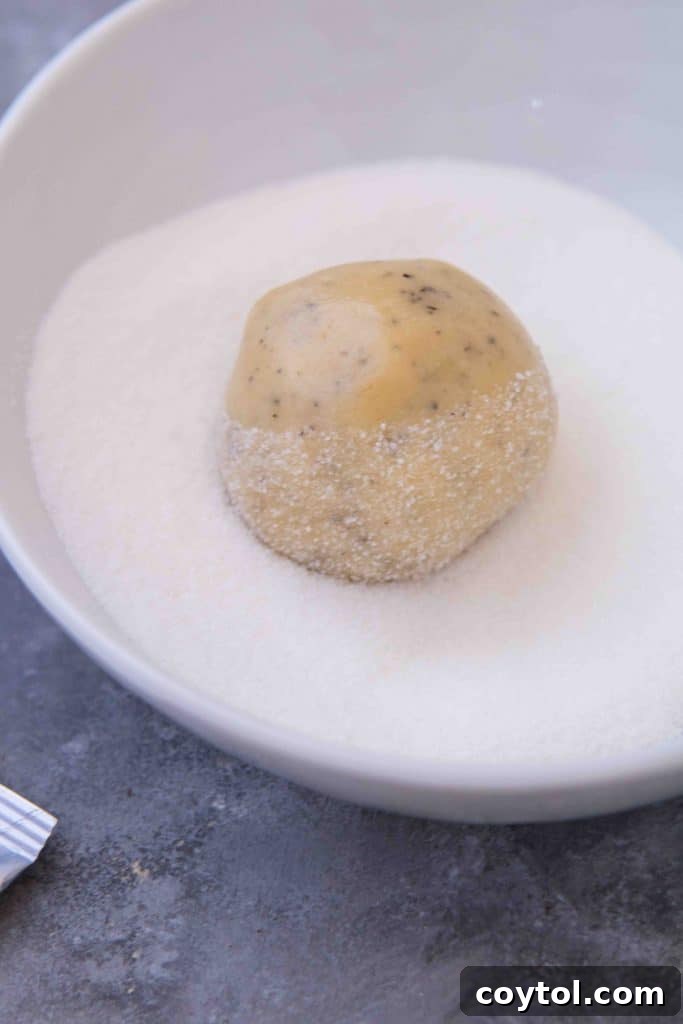 Cookie dough balls rolled in granulated sugar, ready for baking.