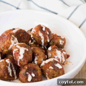 Hero shot of Indian Chicken Meatballs in a bowl, garnished with fresh cilantro