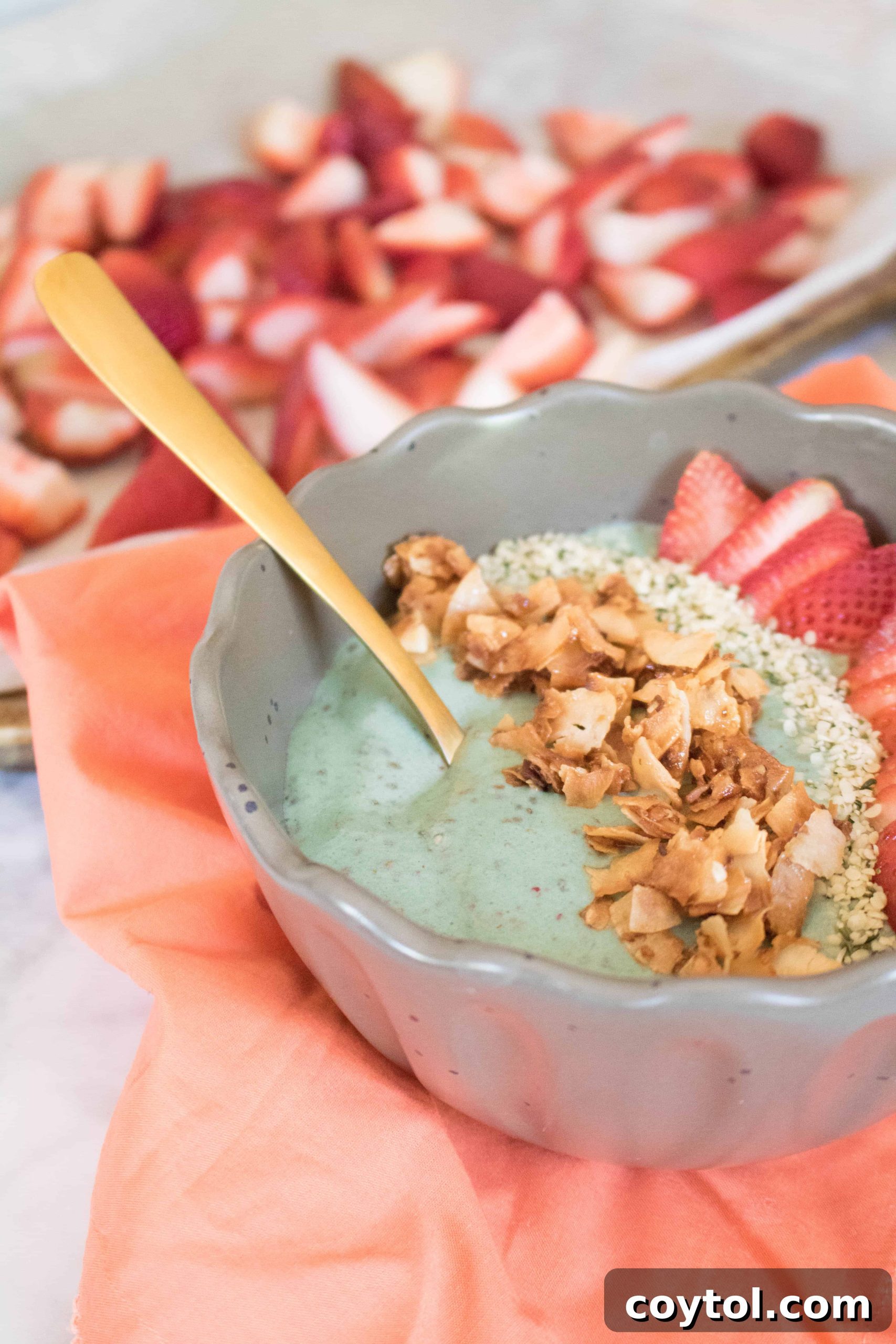 spirulina bowl (7 of 1).jpg