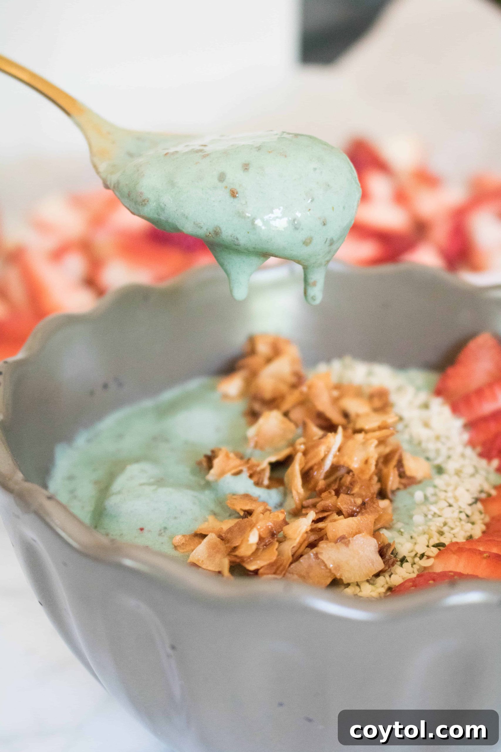 spirulina bowl (6 of 1)