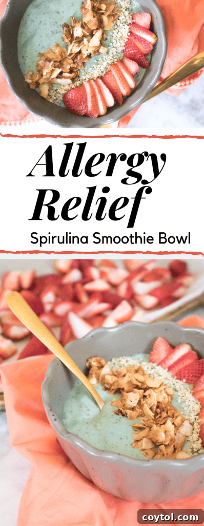spirulina smothie bowl for allergy relief