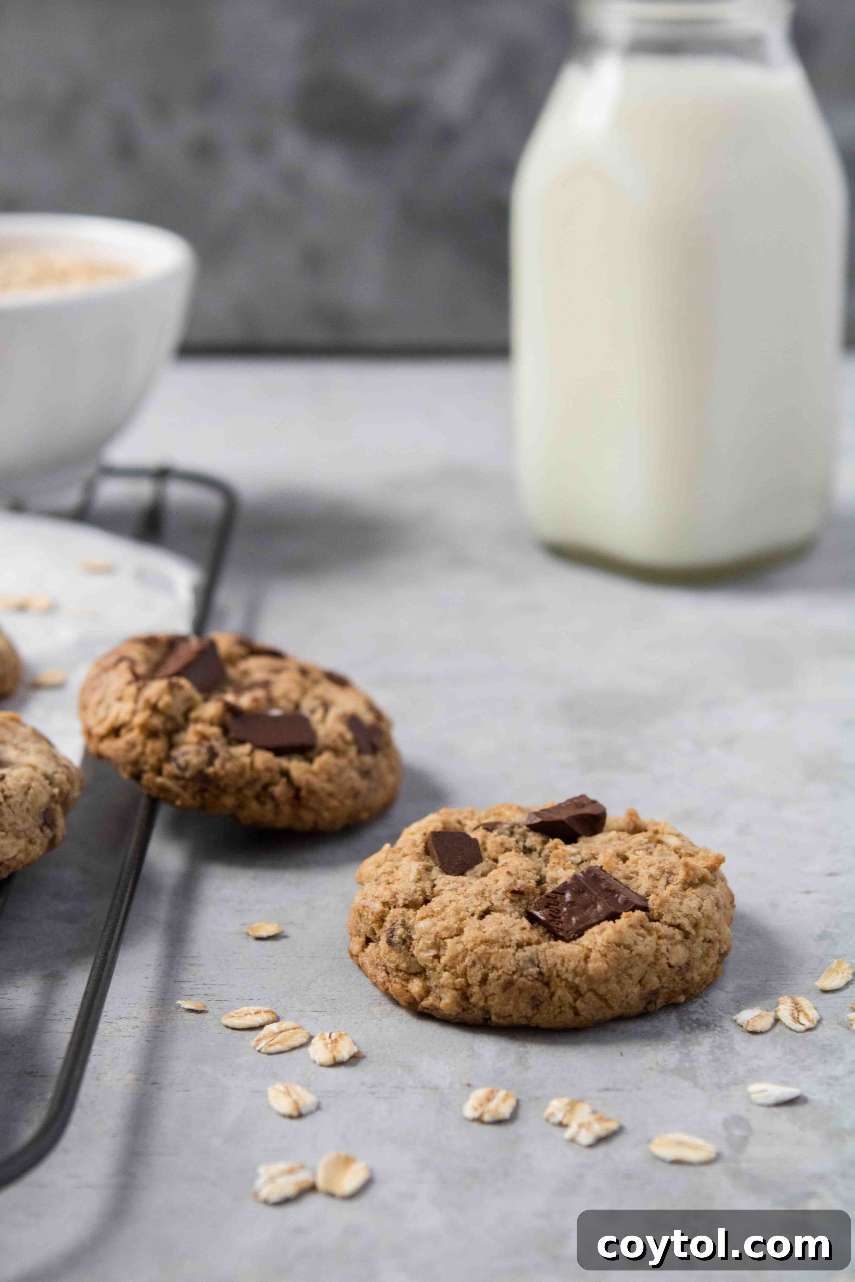 Irresistibly Soft and Chewy Chocolate Chip Oatmeal Cookies 2 Small batch oatmeal chocolate chip cookies, freshly baked and golden brown.
