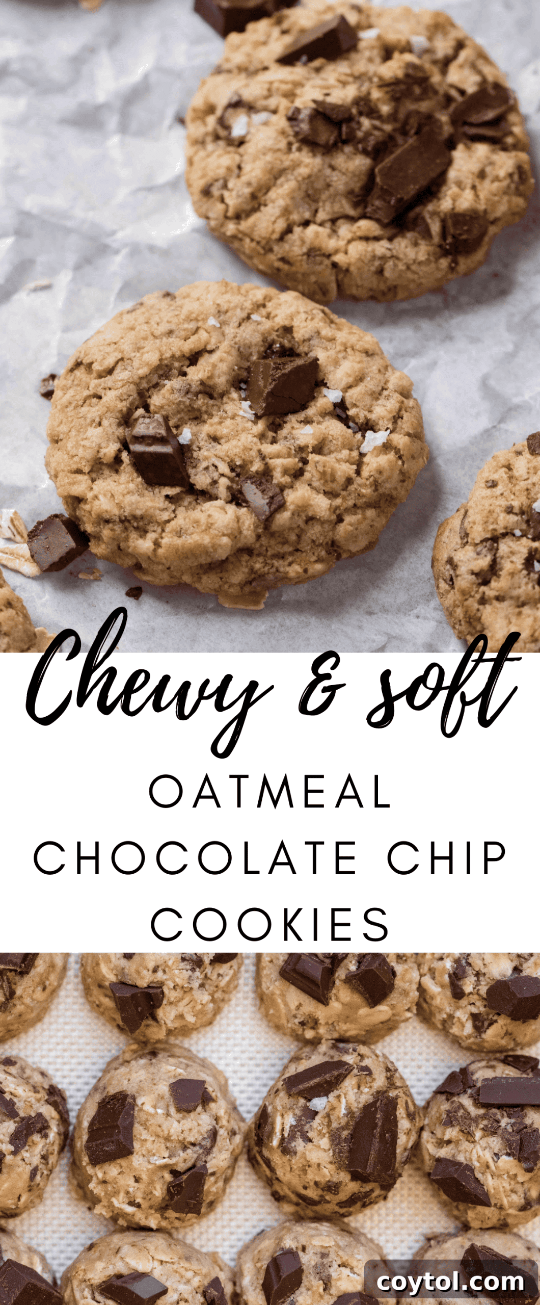 Irresistibly Soft and Chewy Chocolate Chip Oatmeal Cookies 11 Pinterest pin image for small batch oatmeal chocolate chip cookies