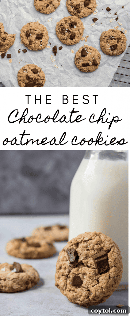Irresistibly Soft and Chewy Chocolate Chip Oatmeal Cookies 12 Soft and Chewy oatmeal chocolate chip cookies, another pin design