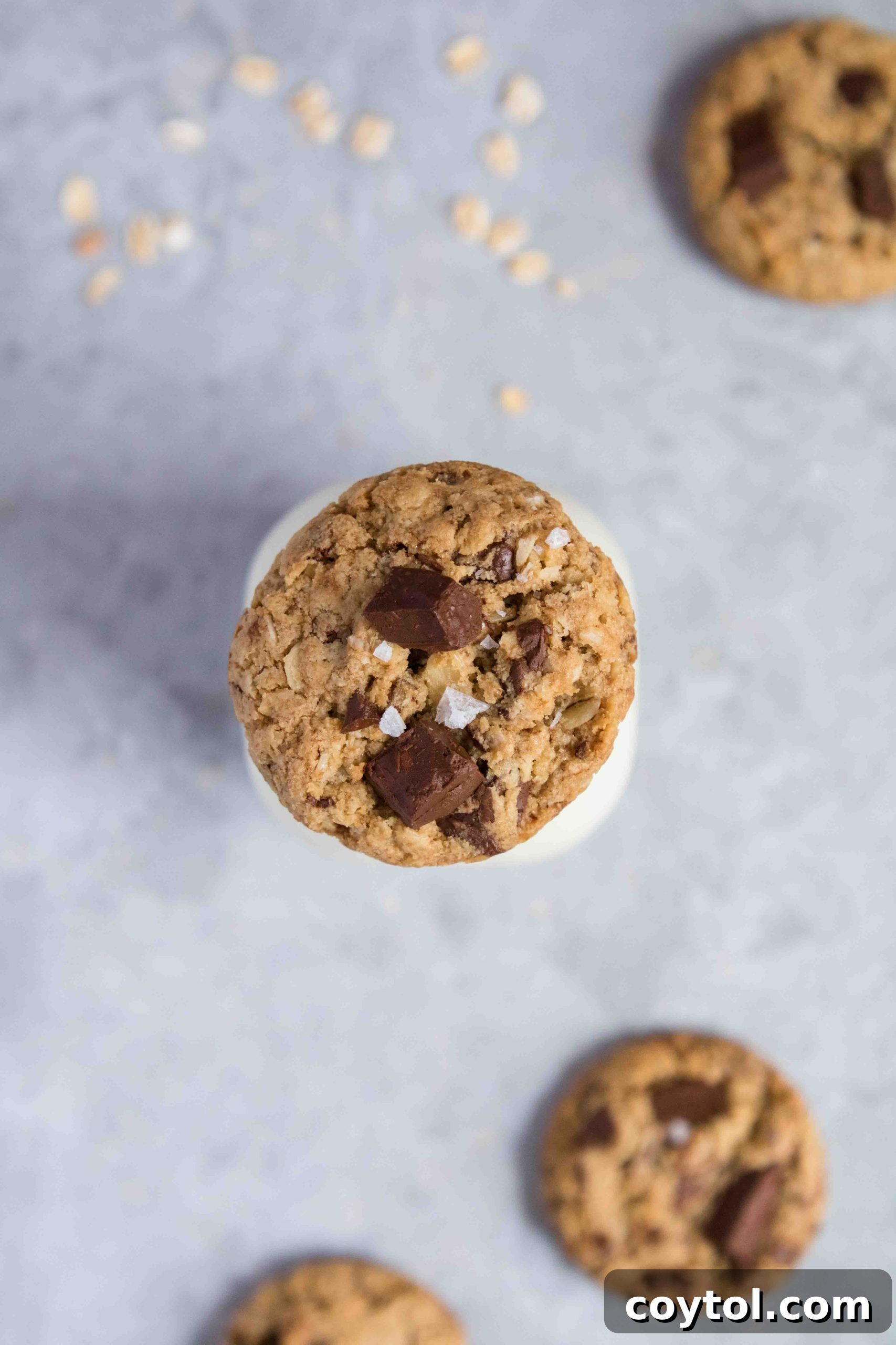 Irresistibly Soft and Chewy Chocolate Chip Oatmeal Cookies 3 Easy to make small batch chocolate chip cookies recipe, showing perfectly baked cookies.