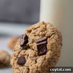 Small batch oatmeal chocolate chip cookies, close-up