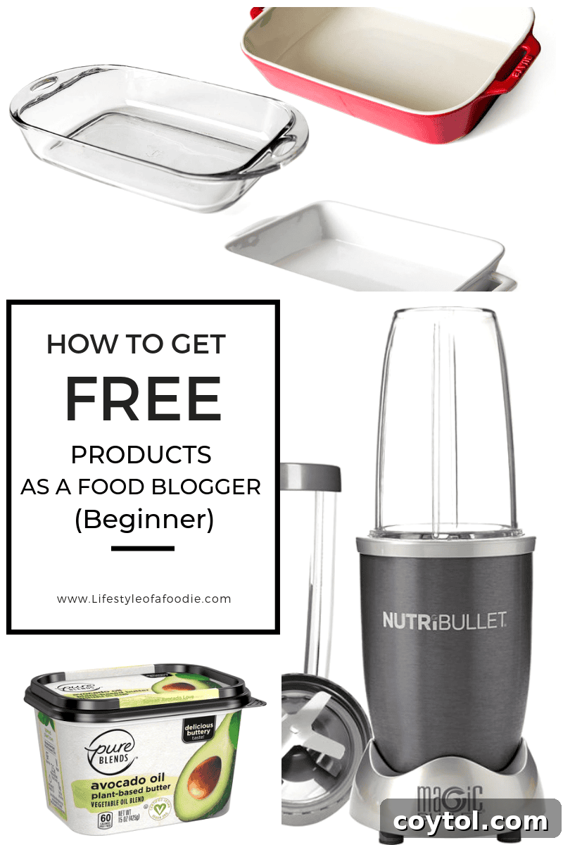 Pinterest graphic for beginner food blogger tips