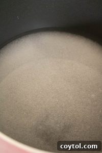Xylitol and water for simple syrup