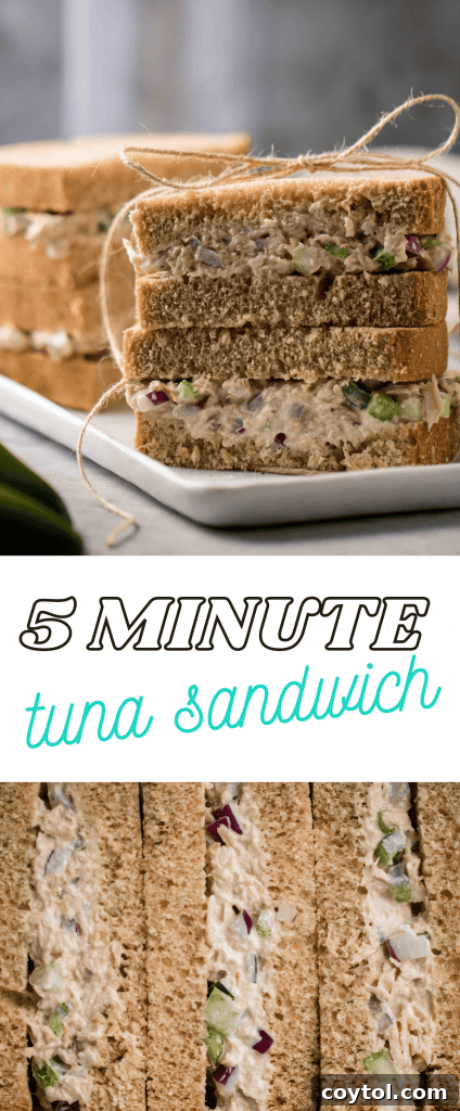 5 minute tuna sandwich recipe