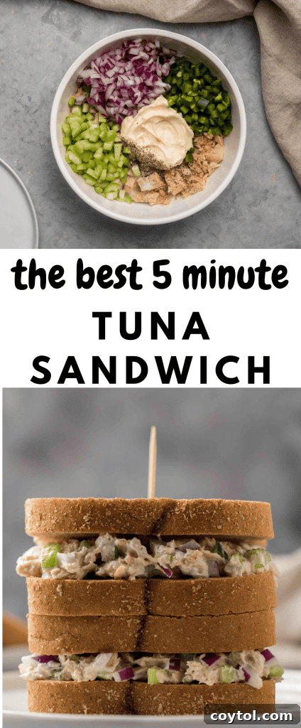 5 minute tuna sandwich recipe