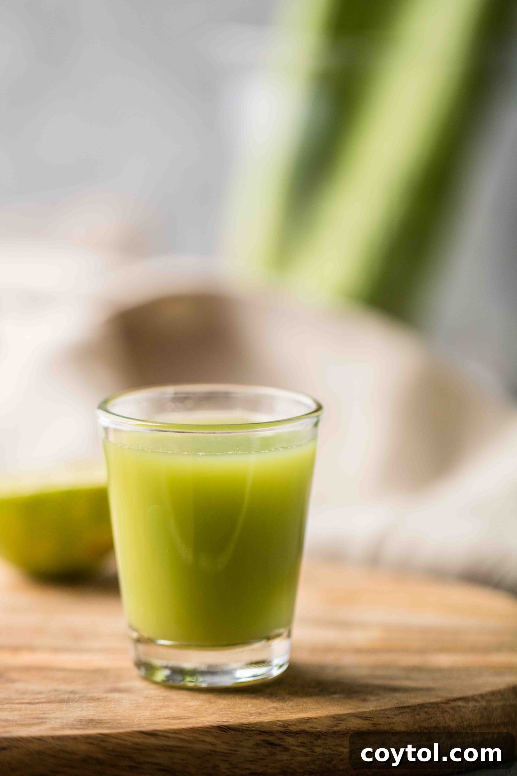 Green health shot for healthy body