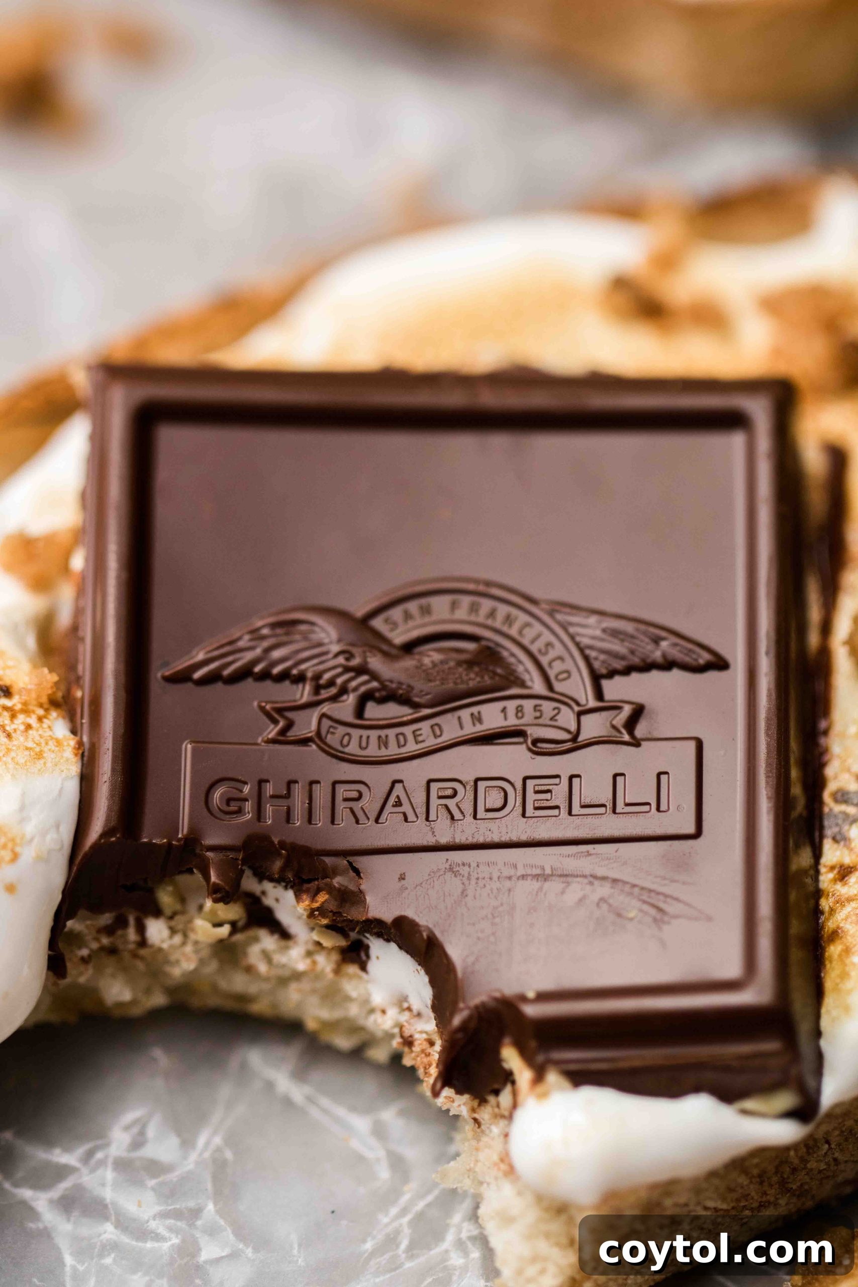 Ghirardelli intense dark chocolate squares for gourmet s'mores