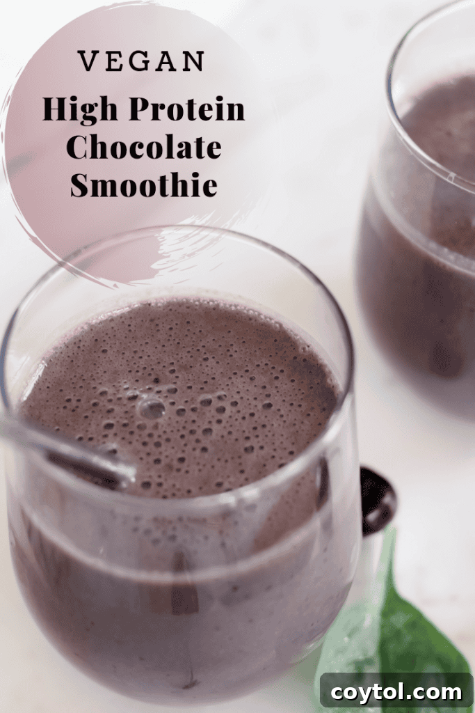 Vegan High Protein Chocolate Smoothie