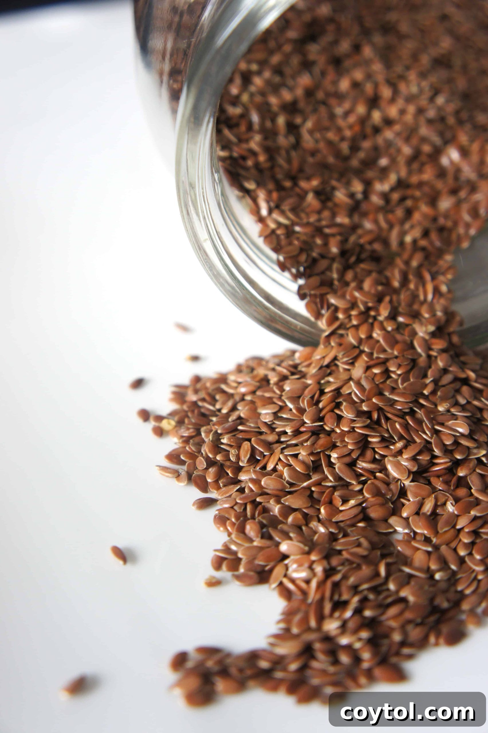 Close-up of flax seeds, a popular vegan egg substitute.