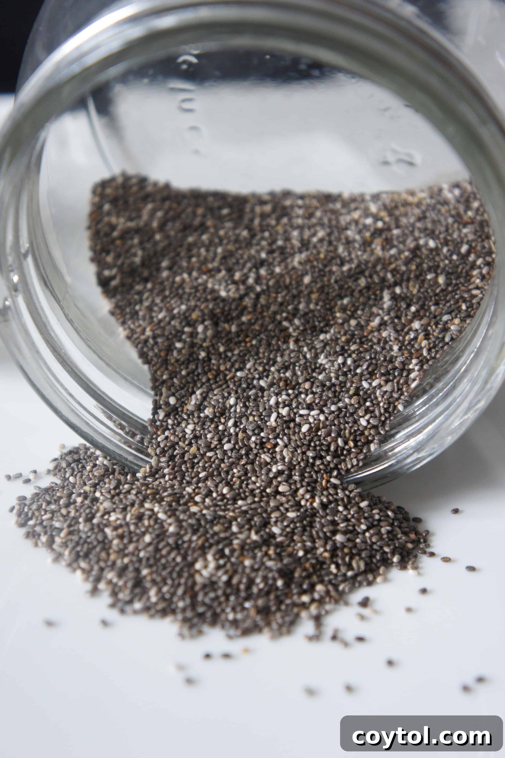Chia seeds ready to be mixed for an egg substitute.