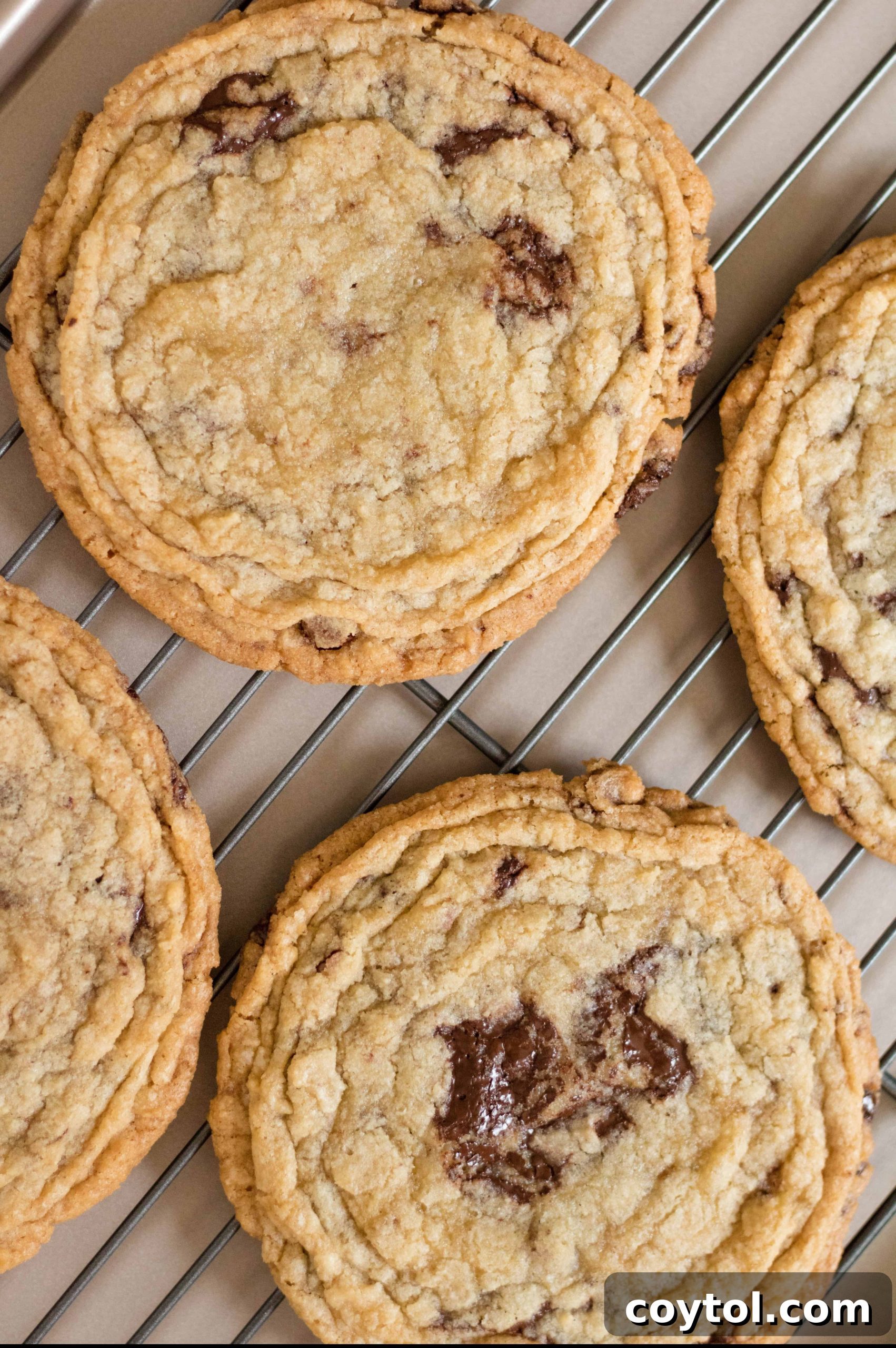Freshly baked chocolate chip cookies, a classic treat perfect for egg-free baking.