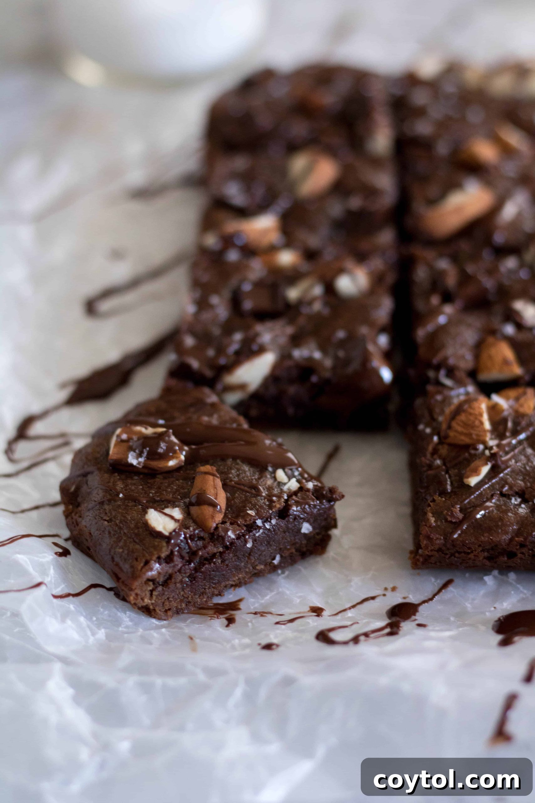 Rich and fudgy vegan double chocolate brownies, demonstrating successful egg-free baking.