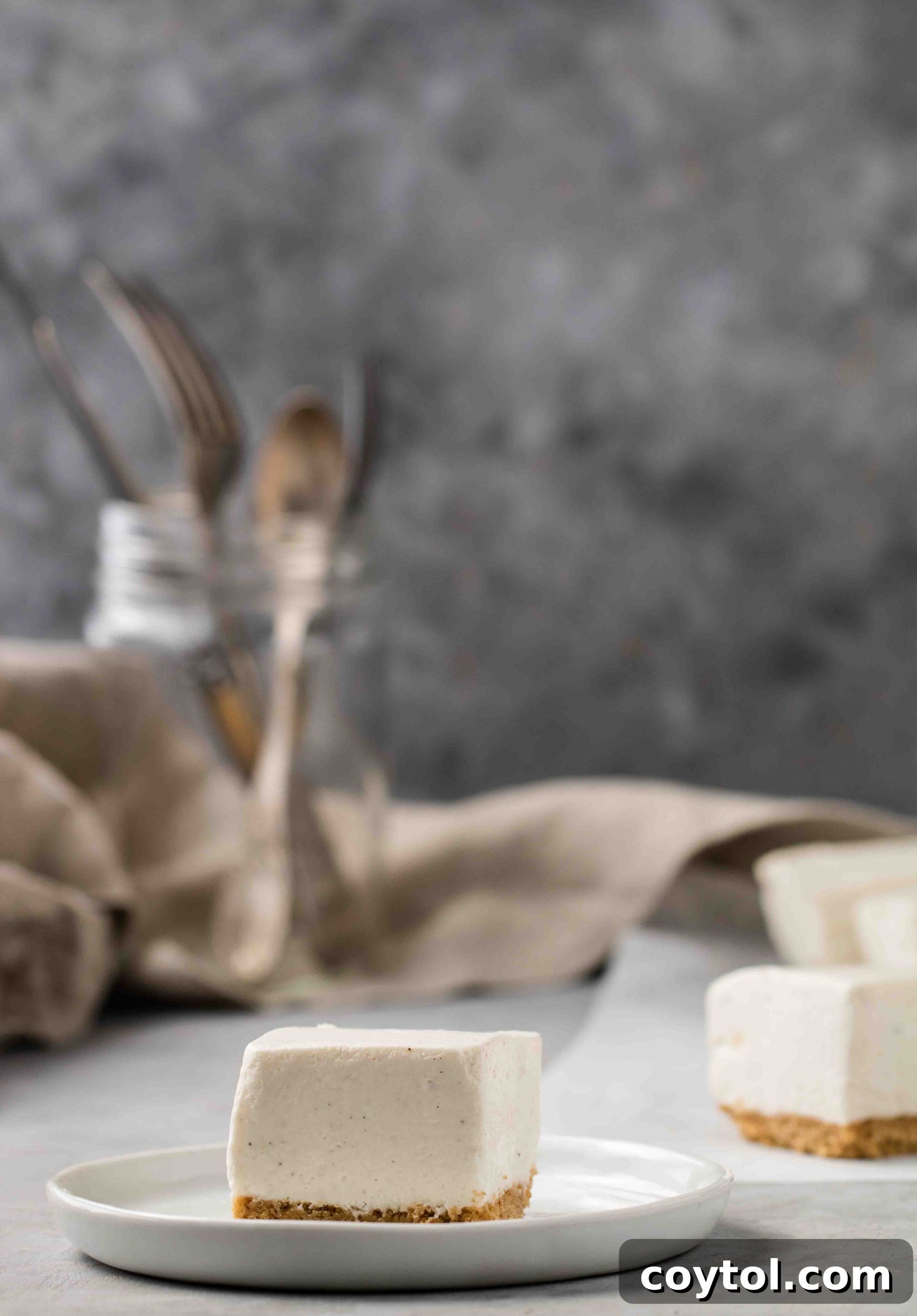 Dreamy Vanilla Bean No Bake Cheesecake Bars 3 Step-by-step guide on how to make a no oven dessert for summer