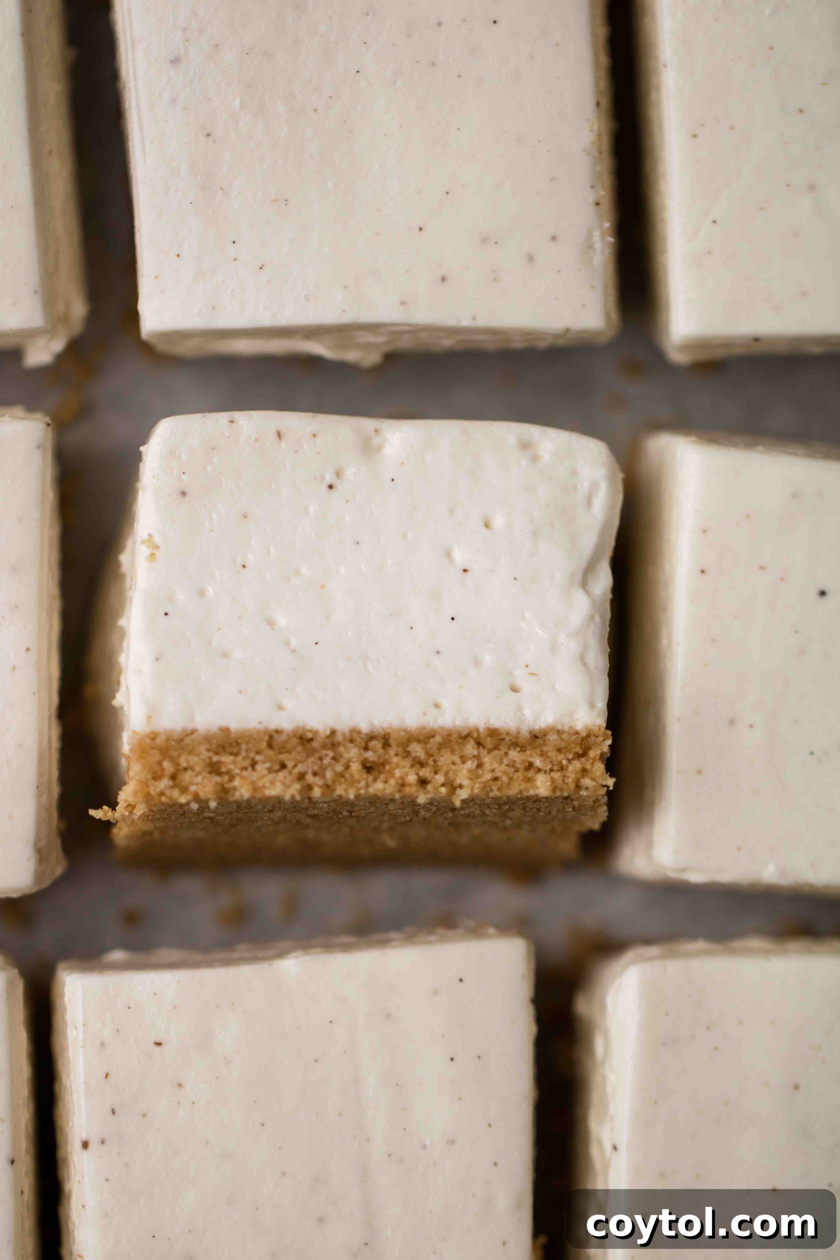 Dreamy Vanilla Bean No Bake Cheesecake Bars 4 Vanilla bean no bake cheesecake bars ready to be served