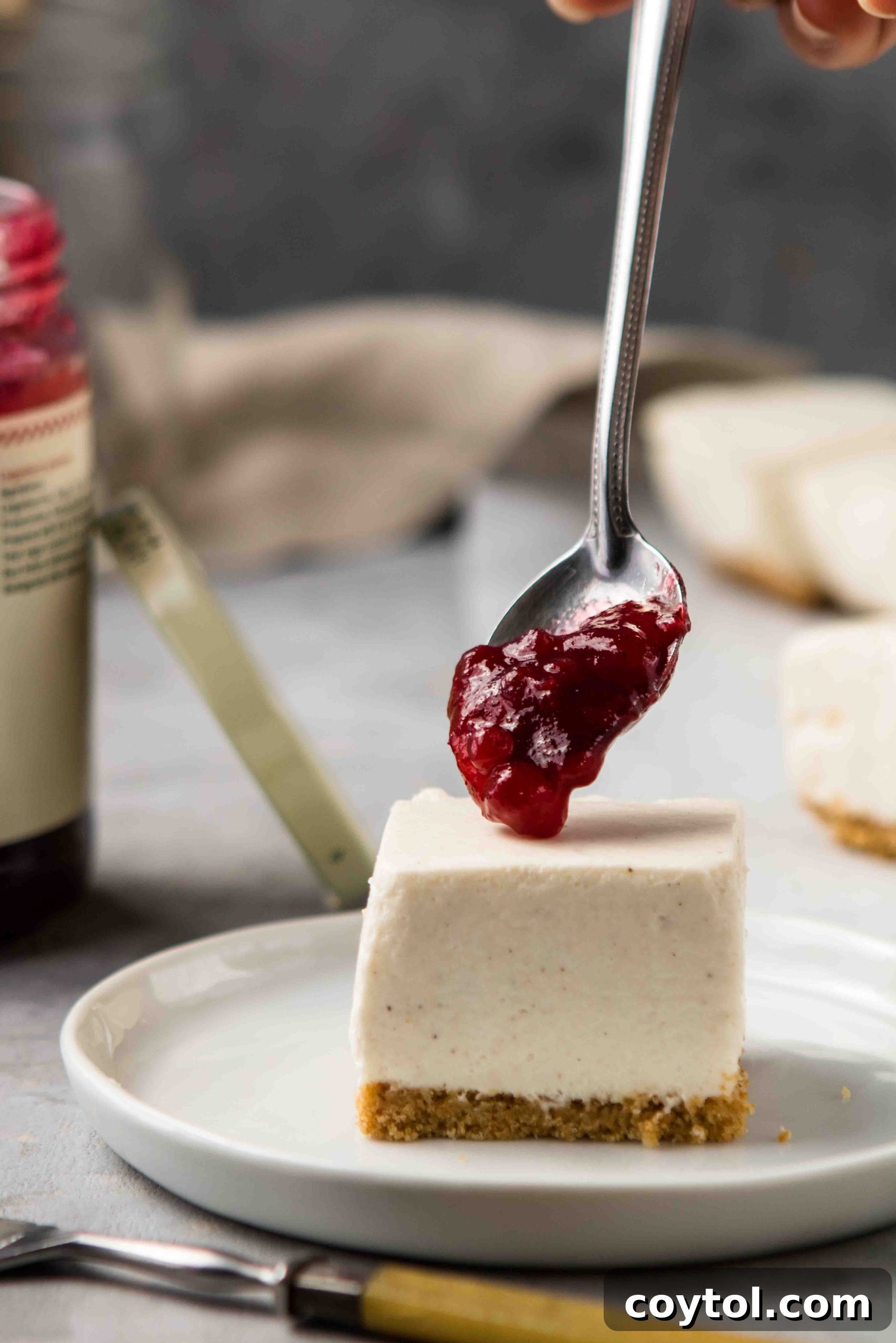 Dreamy Vanilla Bean No Bake Cheesecake Bars 5 No bake cheesecake bars topped with lingonberry jam
