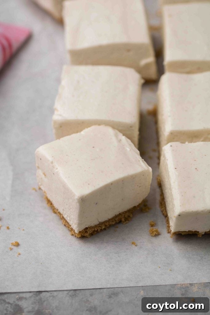 Dreamy Vanilla Bean No Bake Cheesecake Bars 6 Close up of a no bake cheesecake bar slice