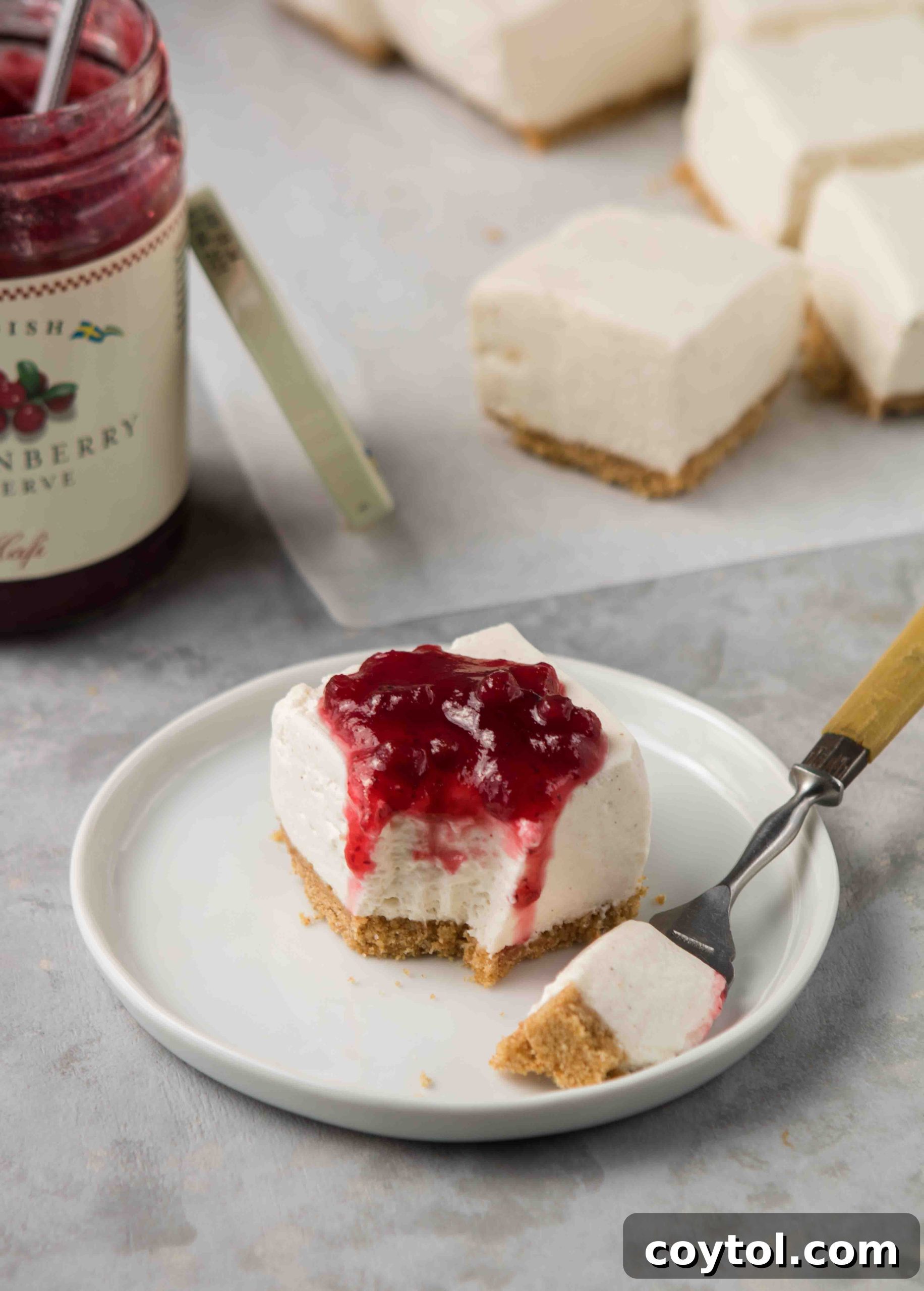 Dreamy Vanilla Bean No Bake Cheesecake Bars 7 Overhead shot of creamy no bake vanilla bean cheesecake recipe