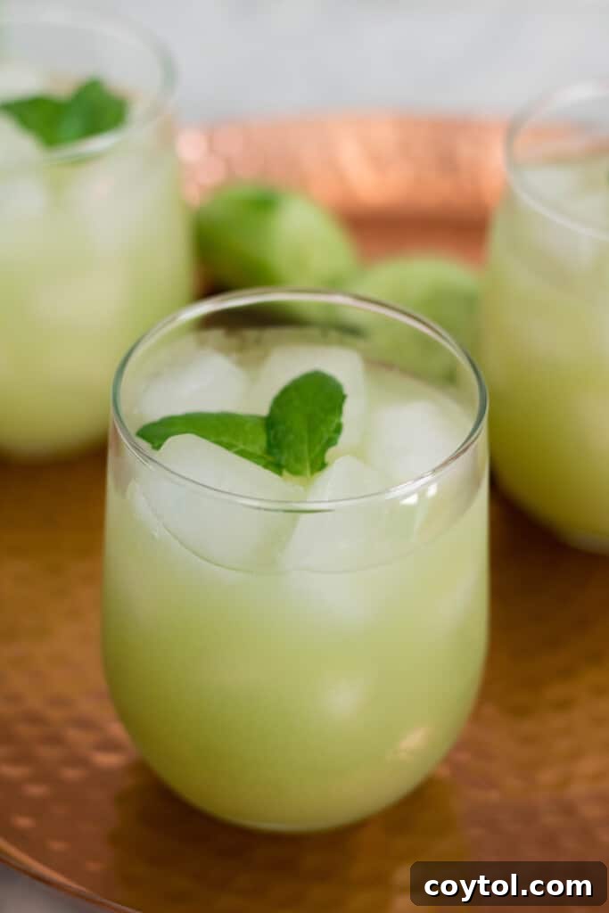 Grape cucumber refresher