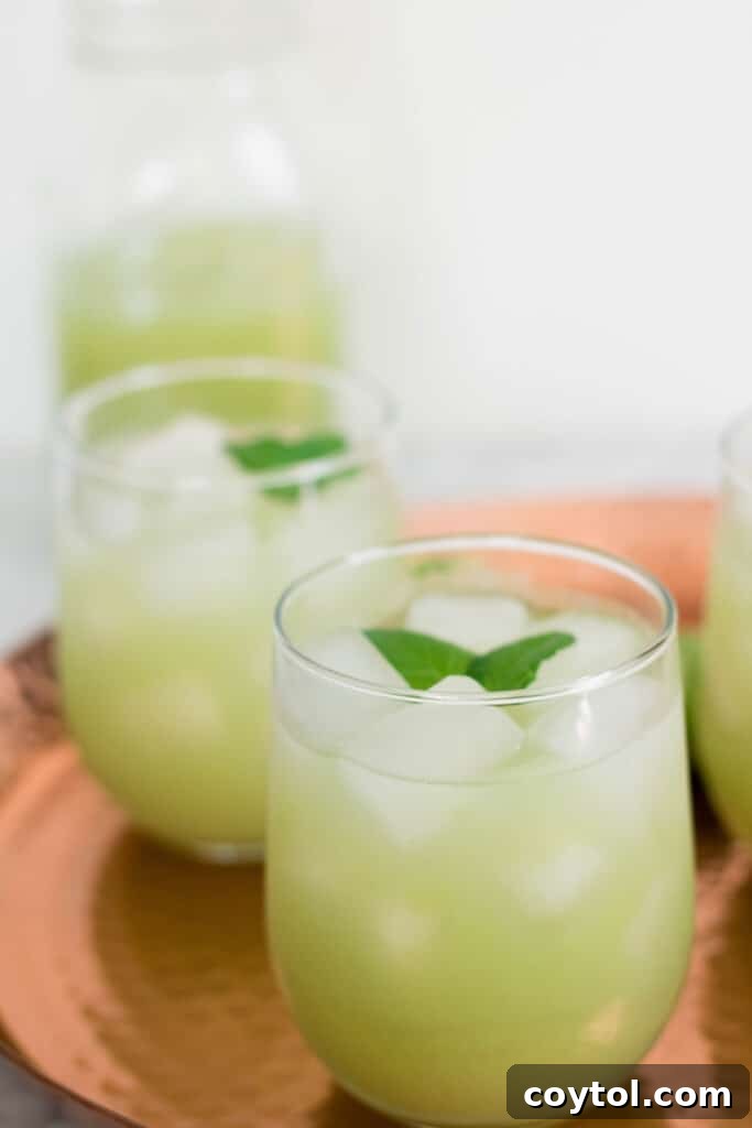 Grape cucumber refresher