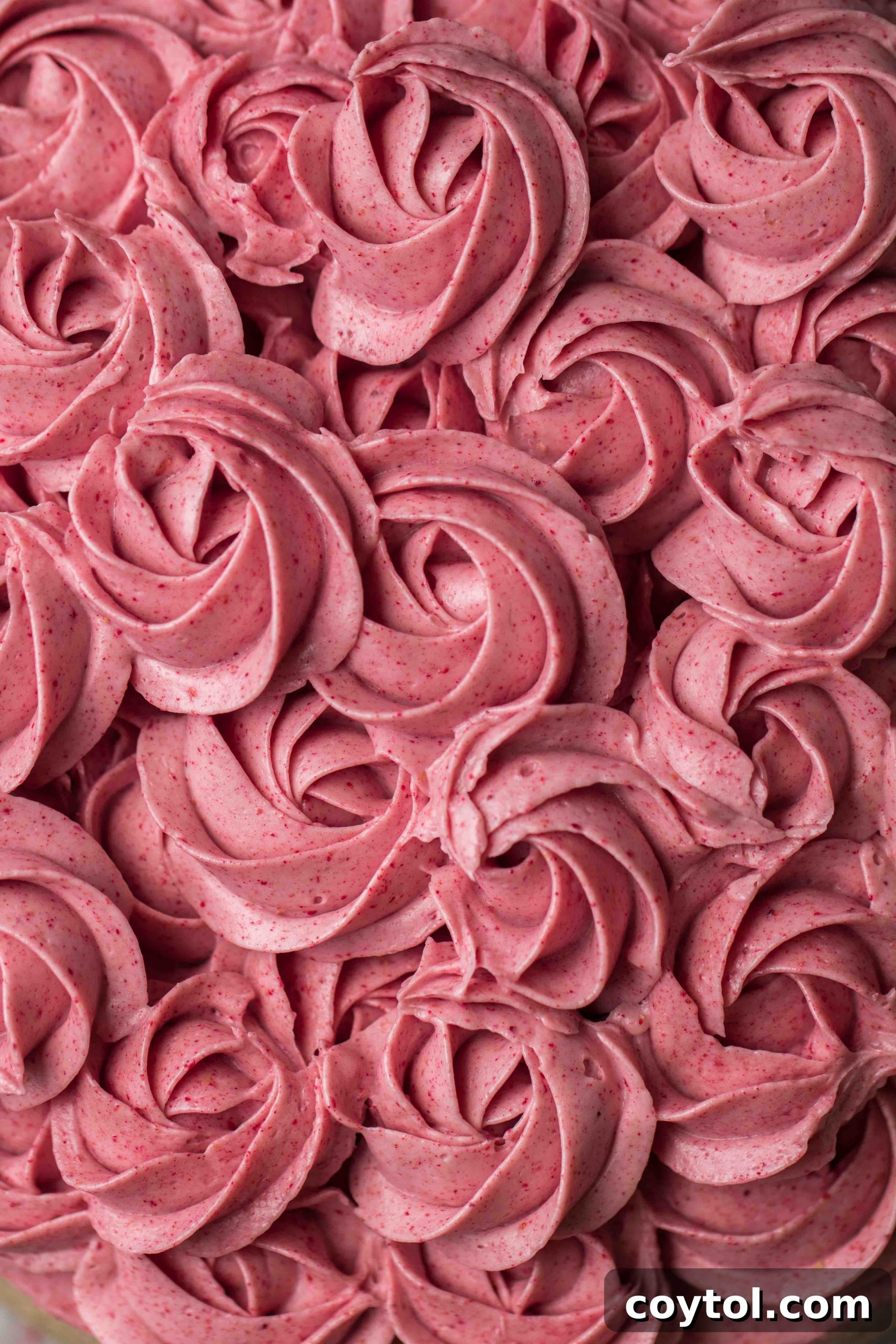 Delicious pink raspberry cake