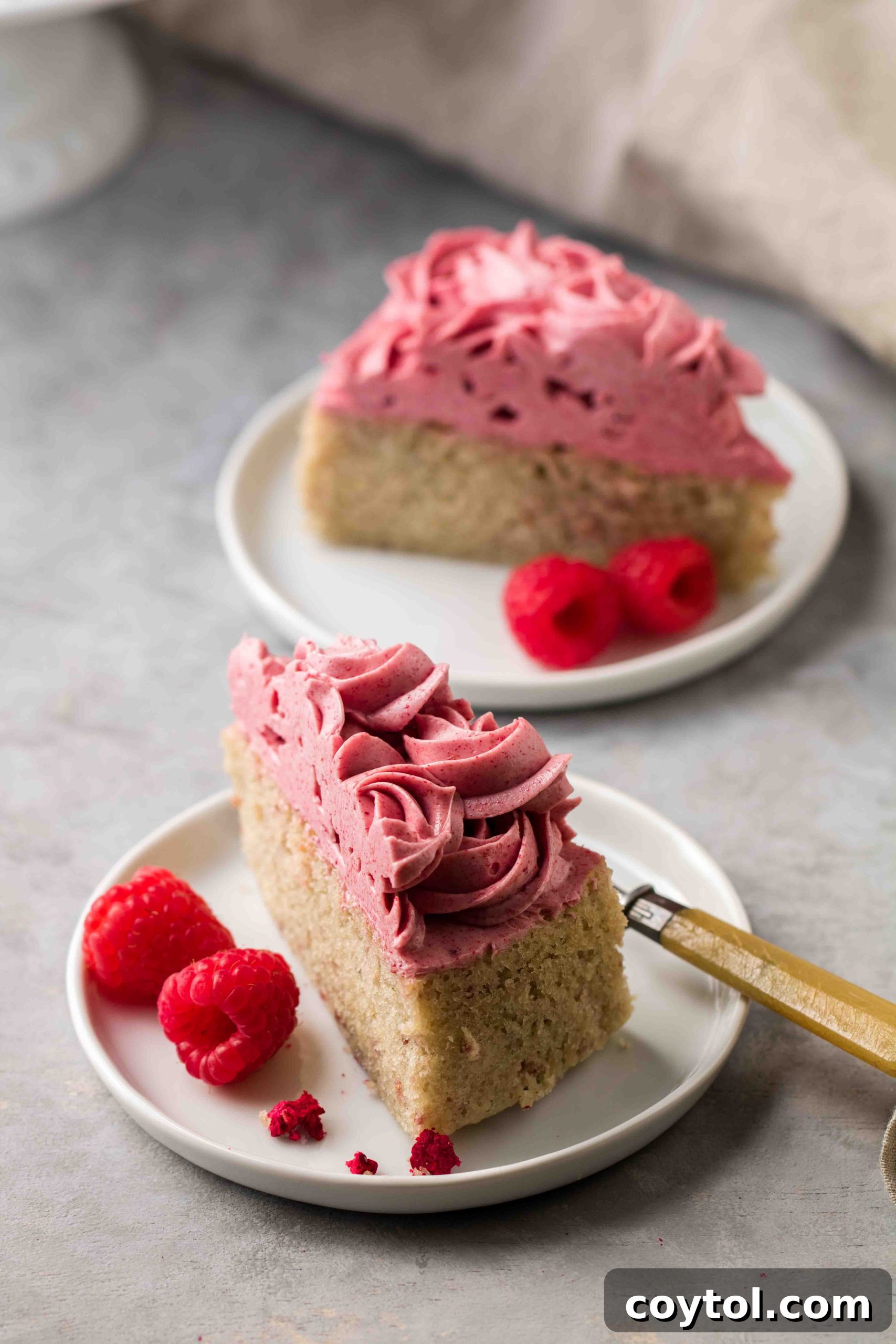 Easy butter cake with raspberry frosting
