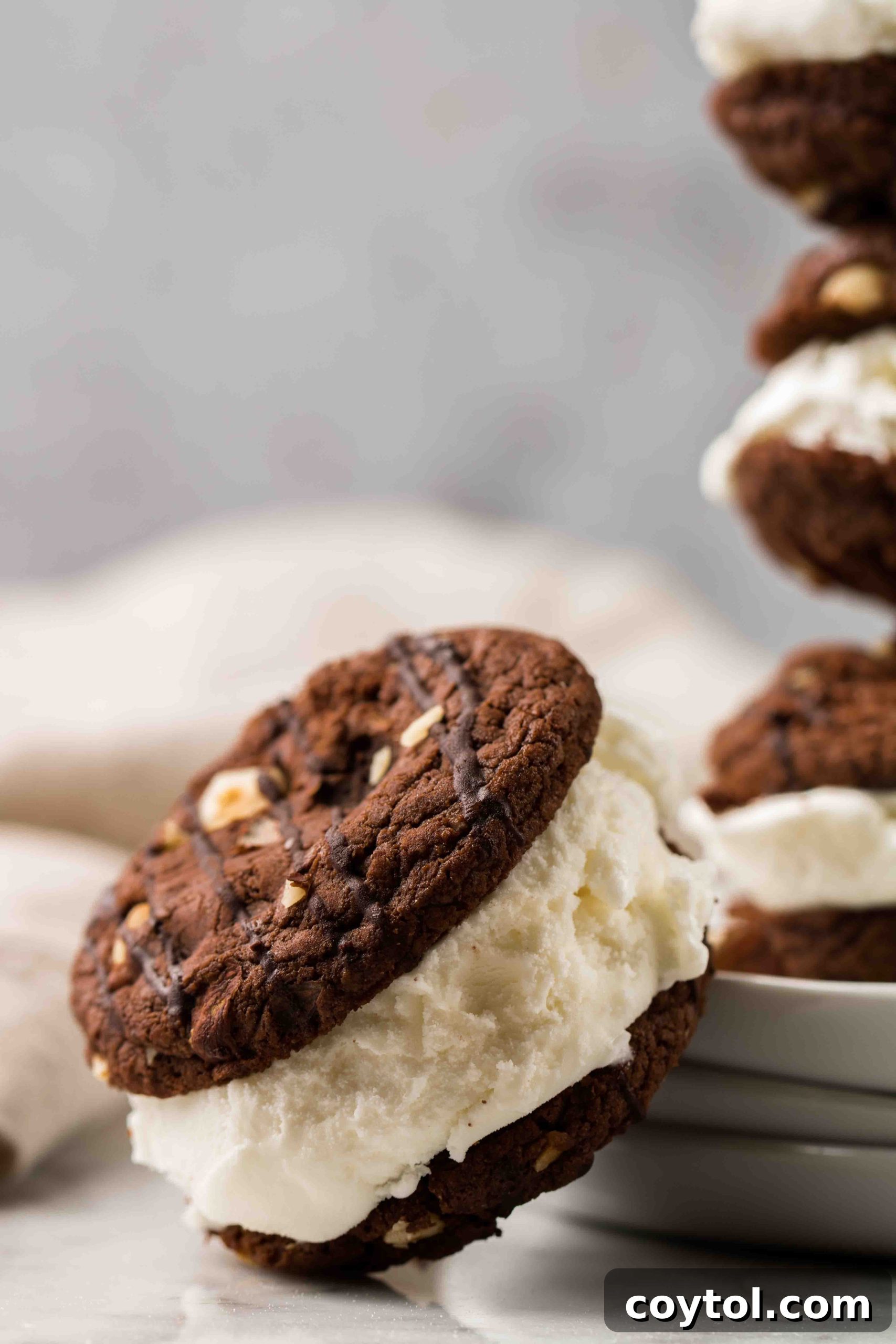 Brownie cookies ice cream sandwich