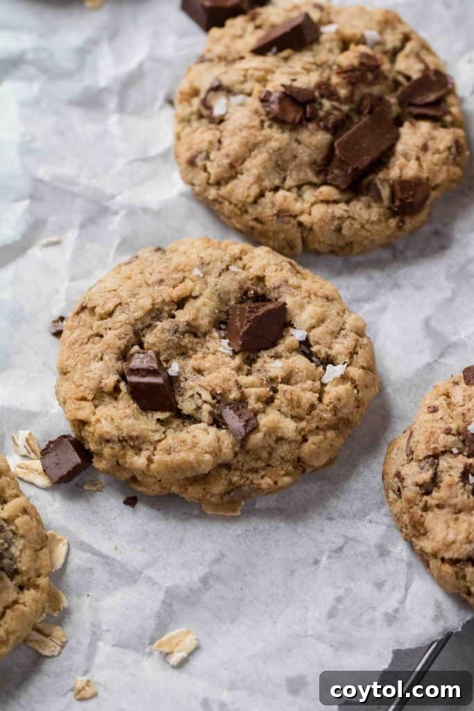 The easiest oatmeal chocolate chip cookies